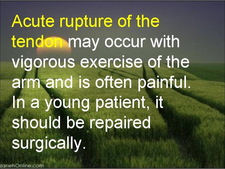 Acute rupture of the tendon may occur with vigorous exercise of the arm and