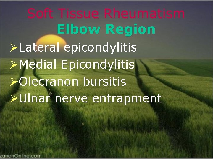 Soft Tissue Rheumatism Elbow Region ØLateral epicondylitis ØMedial Epicondylitis ØOlecranon bursitis ØUlnar nerve entrapment