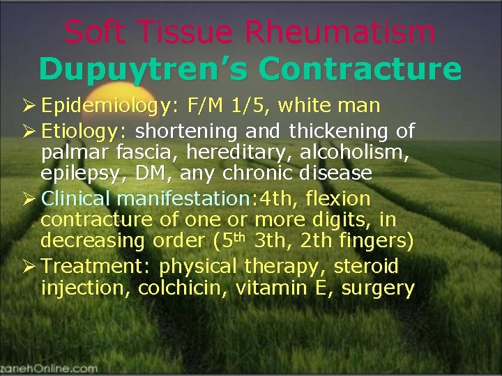 Soft Tissue Rheumatism Dupuytren’s Contracture Ø Epidemiology: F/M 1/5, white man Ø Etiology: shortening