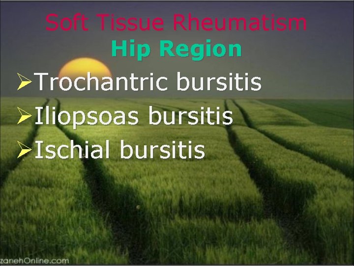 Soft Tissue Rheumatism Hip Region ØTrochantric bursitis ØIliopsoas bursitis ØIschial bursitis 