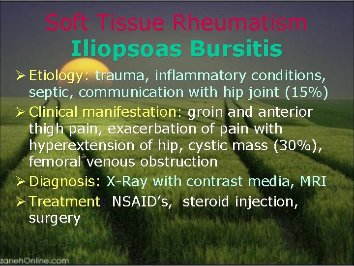 Soft Tissue Rheumatism Iliopsoas Bursitis Ø Etiology: trauma, inflammatory conditions, septic, communication with hip