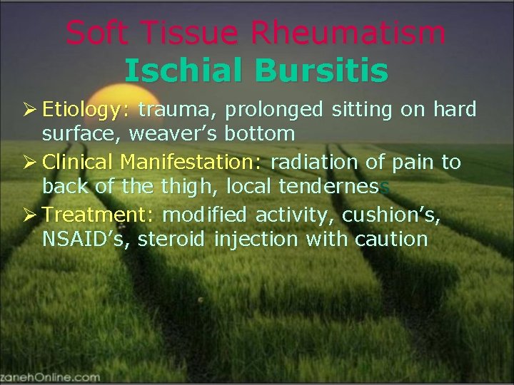 Soft Tissue Rheumatism Ischial Bursitis Ø Etiology: trauma, prolonged sitting on hard surface, weaver’s