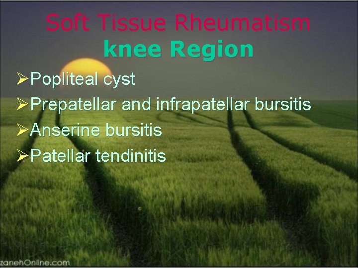 Soft Tissue Rheumatism knee Region ØPopliteal cyst ØPrepatellar and infrapatellar bursitis ØAnserine bursitis ØPatellar