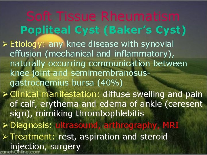 Soft Tissue Rheumatism Popliteal Cyst (Baker’s Cyst) Ø Etiology: any knee disease with synovial
