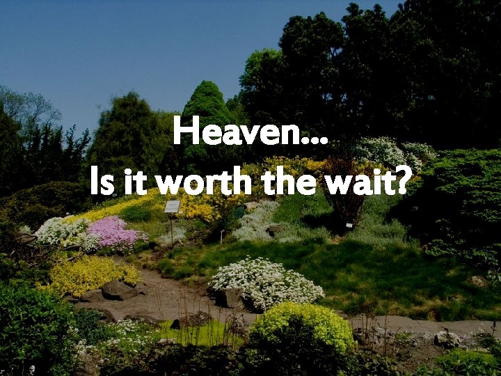 Heaven… Is it worth the wait? 