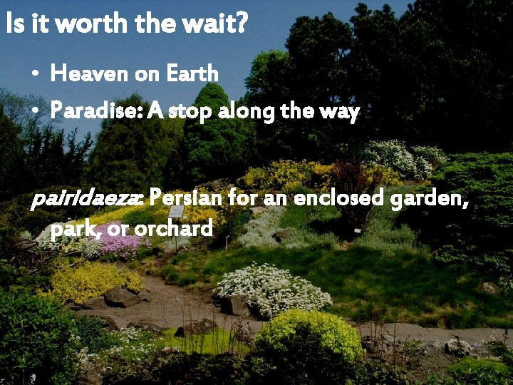 Is it worth the wait? • Heaven on Earth • Paradise: A stop along
