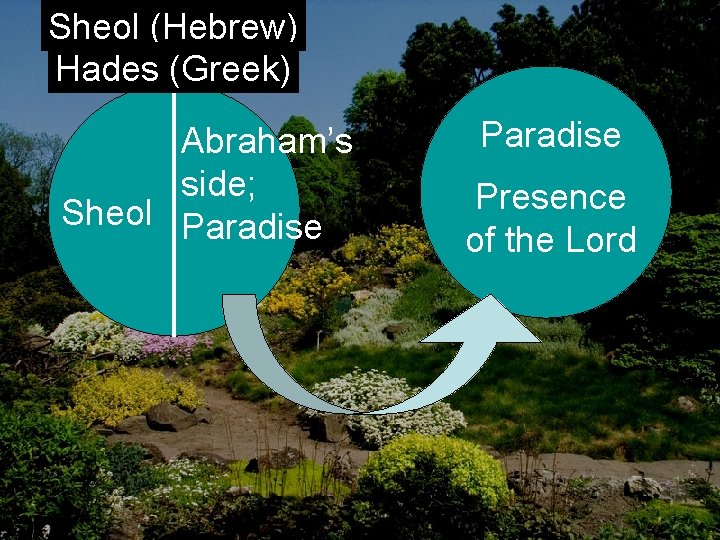 Sheol (Hebrew) Hades (Greek) Abraham’s side; Sheol Paradise Presence of the Lord 