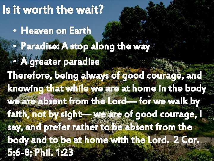 Is it worth the wait? • Heaven on Earth • Paradise: A stop along