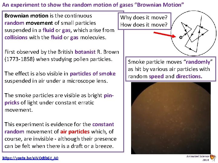 An experiment to show the random motion of gases “Brownian Motion” Brownian motion is