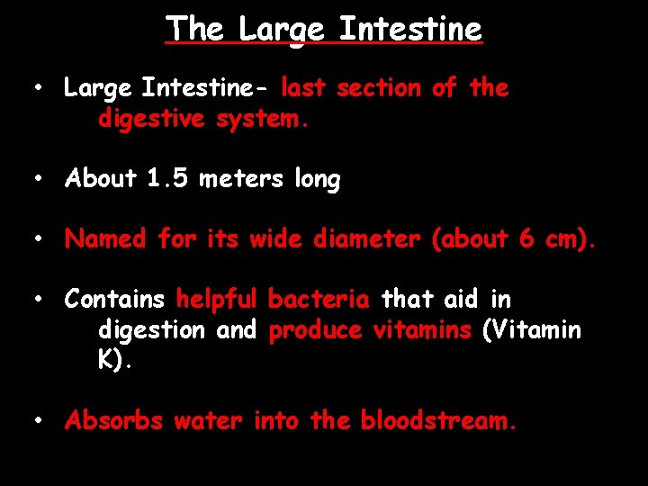 The Large Intestine • Large Intestine- last section of the digestive system. • About