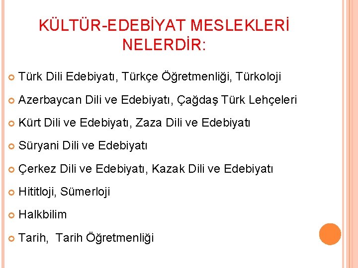 KÜLTÜR-EDEBİYAT MESLEKLERİ NELERDİR: Türk Dili Edebiyatı, Türkçe Öğretmenliği, Türkoloji Azerbaycan Dili ve Edebiyatı, Çağdaş
