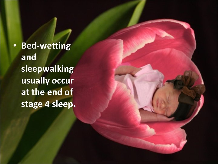  • Bed-wetting and sleepwalking usually occur at the end of stage 4 sleep.