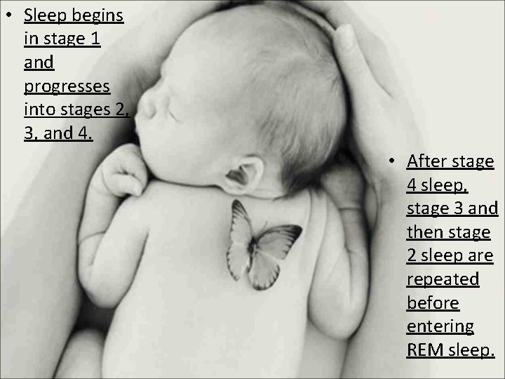  • Sleep begins in stage 1 and progresses into stages 2, 3, and