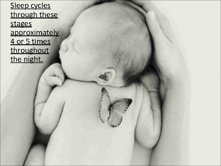 Sleep cycles through these stages approximately 4 or 5 times throughout the night. 