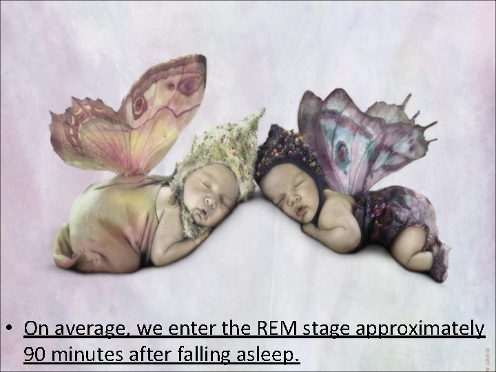  • On average, we enter the REM stage approximately 90 minutes after falling