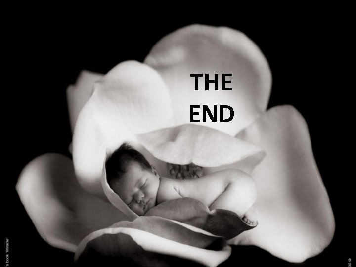 THE END 