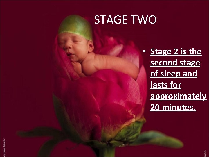 STAGE TWO • Stage 2 is the second stage of sleep and lasts for