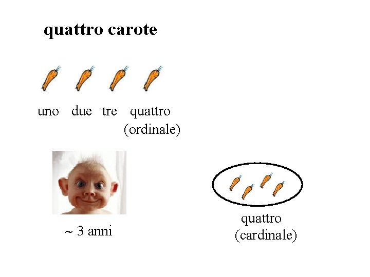 quattro carote uno due tre quattro (ordinale) 3 anni quattro (cardinale) quattro carote uno due tre quattro (ordinale) 3 anni quattro (cardinale)