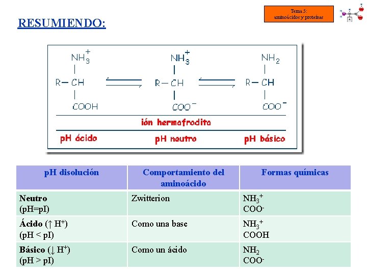 Tema 5: aminoácidos y proteínas RESUMIENDO: p. H disolución Comportamiento del aminoácido Formas químicas