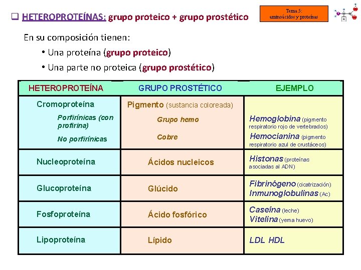 q HETEROPROTEÍNAS: grupo proteico + grupo prostético Tema 5: aminoácidos y proteínas En su