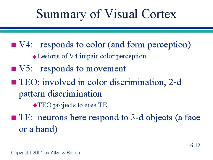 Summary of Visual Cortex n V 4: responds to color (and form perception) u