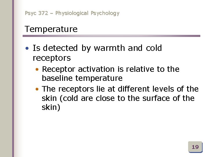 Psyc 372 – Physiological Psychology Temperature • Is detected by warmth and cold receptors