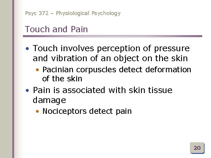 Psyc 372 – Physiological Psychology Touch and Pain • Touch involves perception of pressure