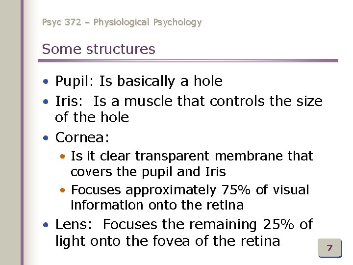 Psyc 372 – Physiological Psychology Some structures • Pupil: Is basically a hole •