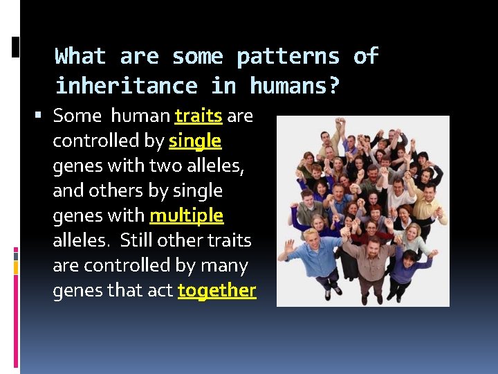 What are some patterns of inheritance in humans? Some human traits are controlled by
