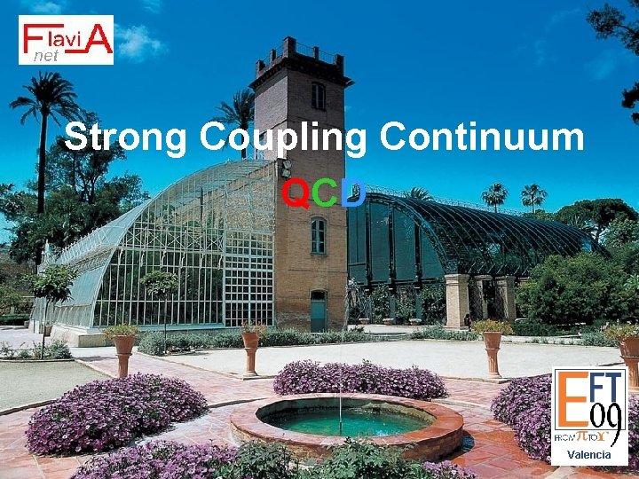 Strong Coupling Continuum QCD Valencia 