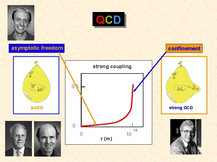 QCD asymptotic freedom confinement strong coupling 0. 5 p. QCD strong QCD 0 0