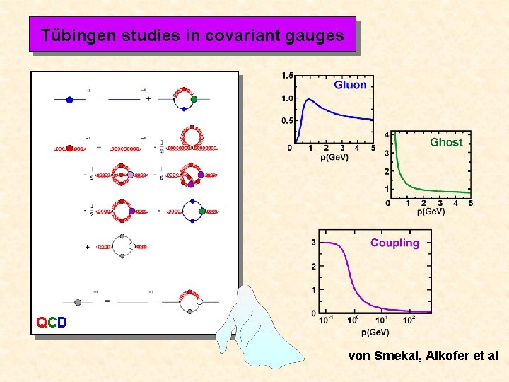 Tübingen studies in covariant gauges QCD von Smekal, Alkofer et al 