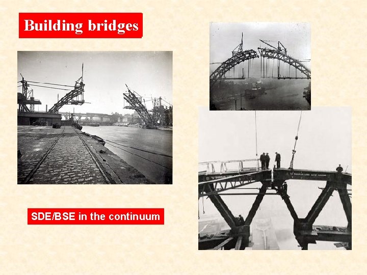 Building bridges SDE/BSE in the continuum 