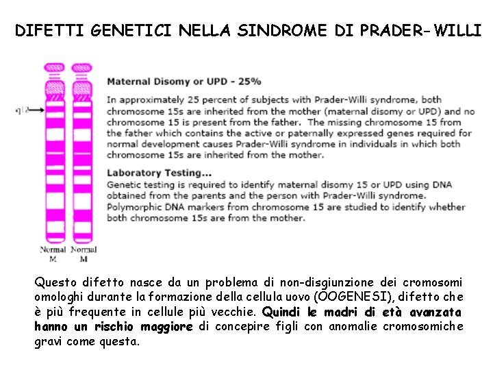 DIFETTI GENETICI NELLA SINDROME DI PRADER-WILLI Questo difetto nasce da un problema di non-disgiunzione