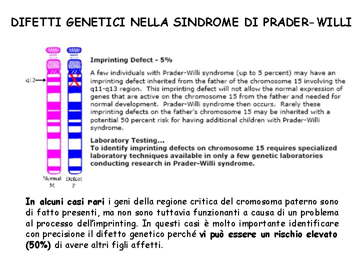 DIFETTI GENETICI NELLA SINDROME DI PRADER-WILLI In alcuni casi rari i geni della regione