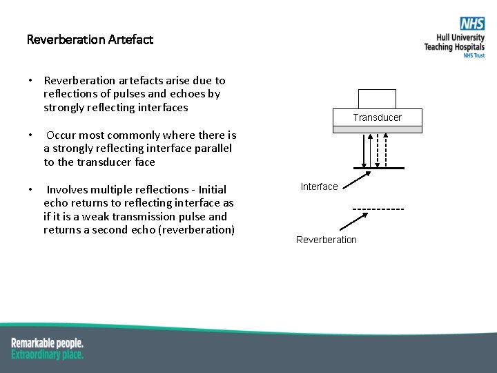 Reverberation Artefact • Reverberation artefacts arise due to reflections of pulses and echoes by