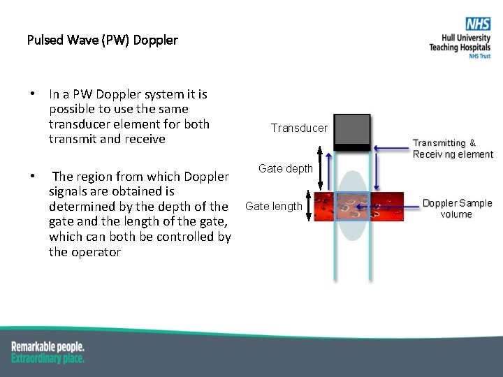 Pulsed Wave (PW) Doppler • In a PW Doppler system it is possible to