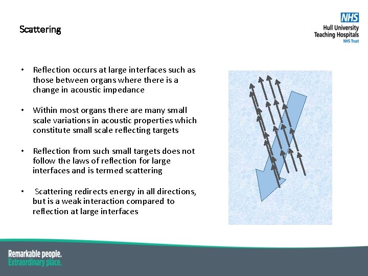 Scattering • Reflection occurs at large interfaces such as those between organs where there