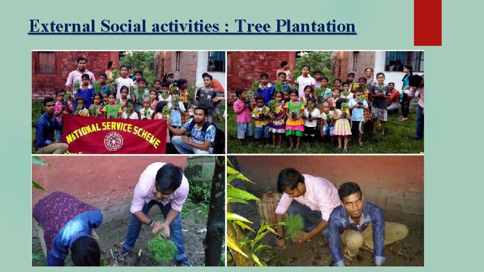 External Social activities : Tree Plantation 