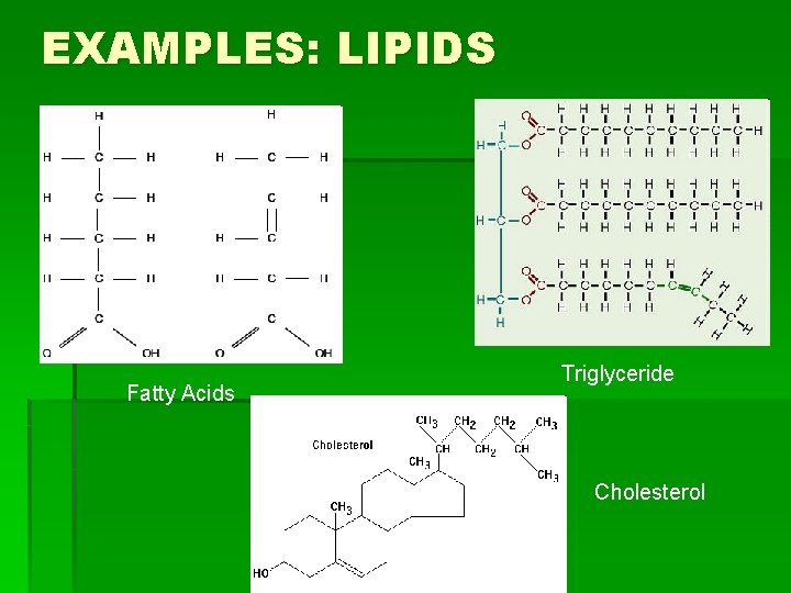 EXAMPLES: LIPIDS Fatty Acids Triglyceride Cholesterol 