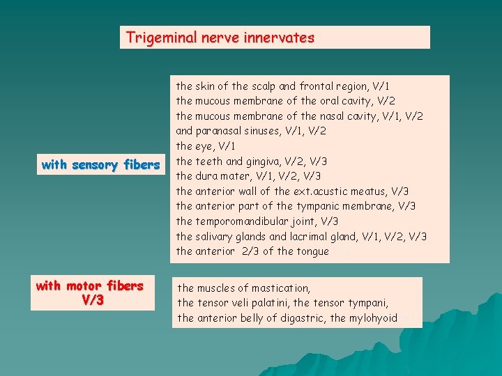 Trigeminal nerve innervates with sensory fibers with motor fibers V/3 the skin of the