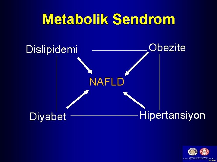 Metabolik Sendrom Obezite Dislipidemi NAFLD Diyabet Hipertansiyon 
