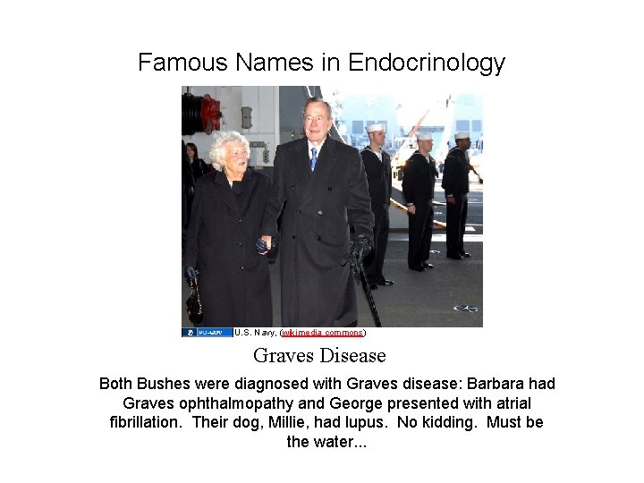 Famous Names in Endocrinology U. S. Navy, (wikimedia commons) Graves Disease Both Bushes were