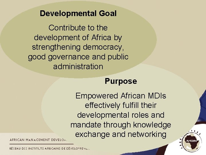 Developmental Goal Contribute to the development of Africa by strengthening democracy, good governance and