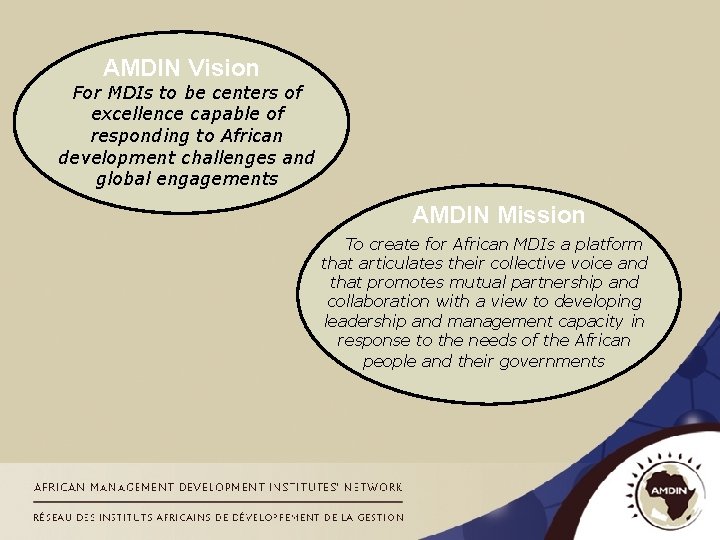 AMDIN Vision For MDIs to be centers of excellence capable of responding to African