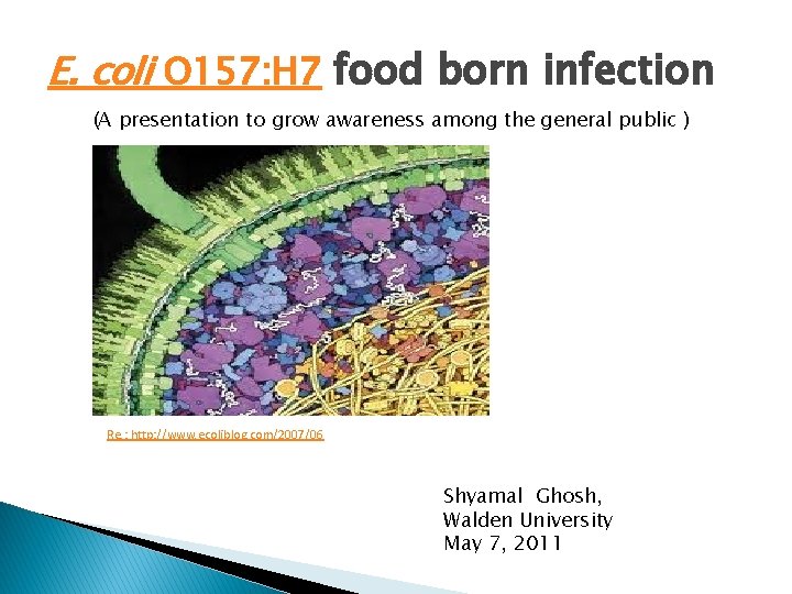 E. coli O 157: H 7 food born infection (A presentation to grow awareness