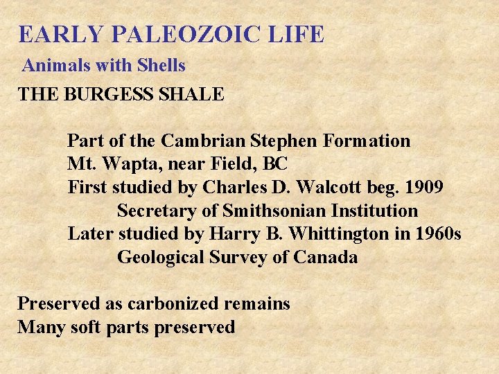 EARLY PALEOZOIC LIFE Animals with Shells THE BURGESS SHALE Part of the Cambrian Stephen