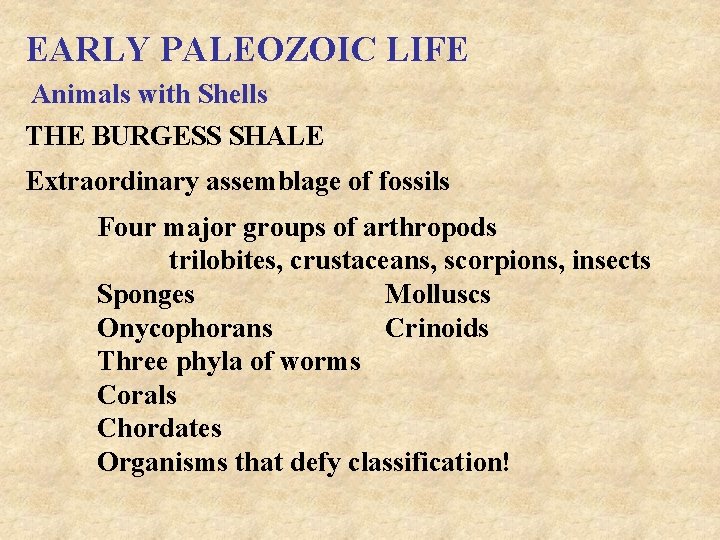 EARLY PALEOZOIC LIFE Animals with Shells THE BURGESS SHALE Extraordinary assemblage of fossils Four