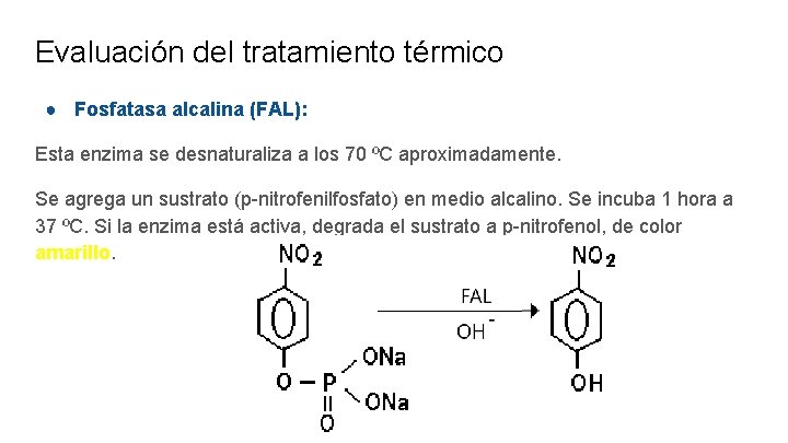 Evaluación del tratamiento térmico ● Fosfatasa alcalina (FAL): Esta enzima se desnaturaliza a los