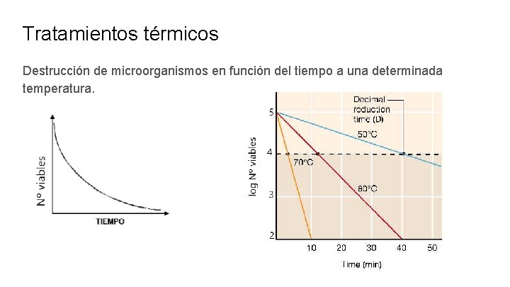 Tratamientos térmicos Destrucción de microorganismos en función del tiempo a una determinada temperatura. 